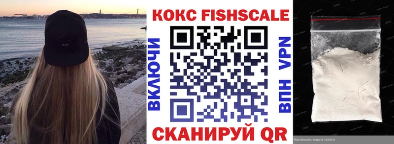 COCAIN Fish Scale  как найти закладки  кракен tor  Ртищево 
