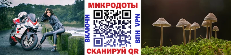 Галлюциногенные грибы MAGIC MUSHROOMS  Ртищево 
